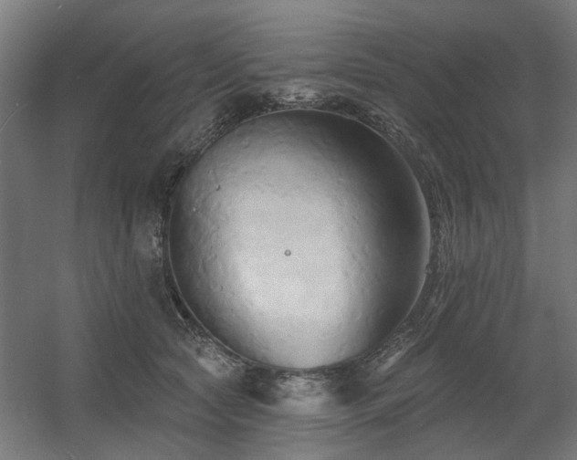 X0000060560561200511031246