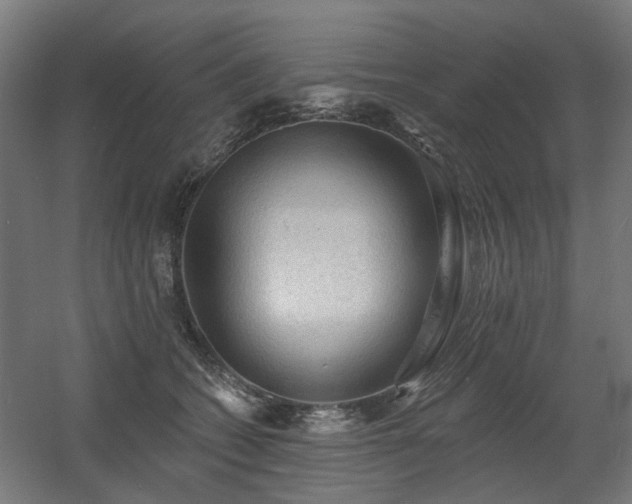 X0000060560562200511031246