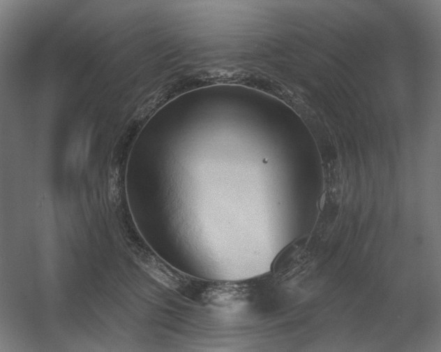 X0000060560563200511031246