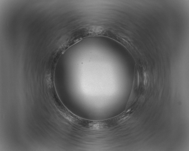 X0000060560564200511031246