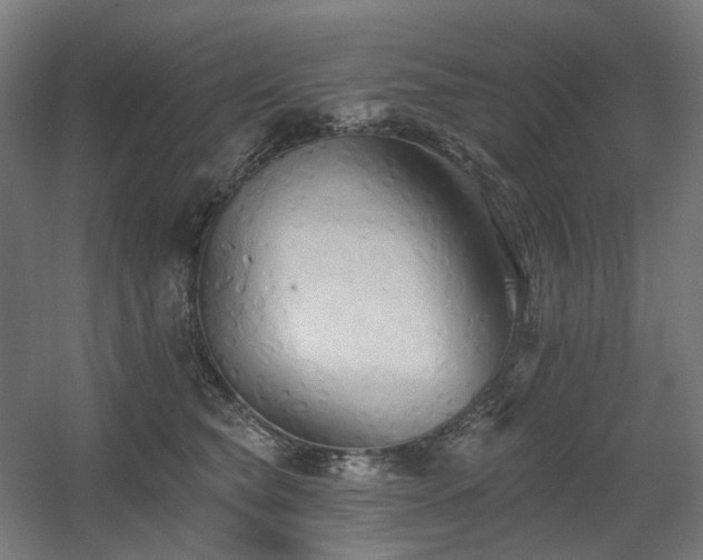 X0000060560565200511031246