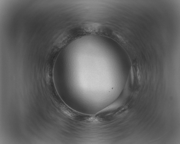 X0000060560566200511031246