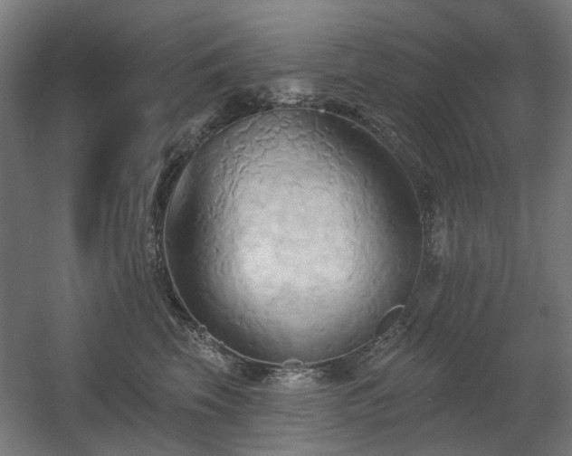 X0000060560569200511031246