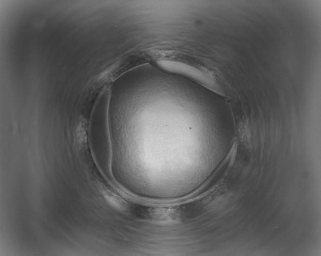 X0000060560570200511031246