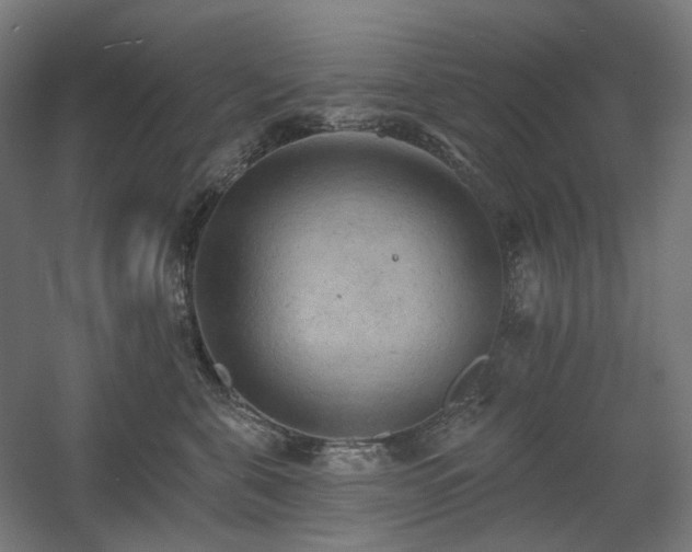 X0000060560571200511031246