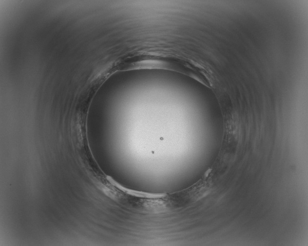 X0000060560572200511031246