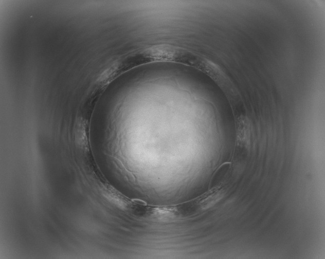 X0000060560573200511031246