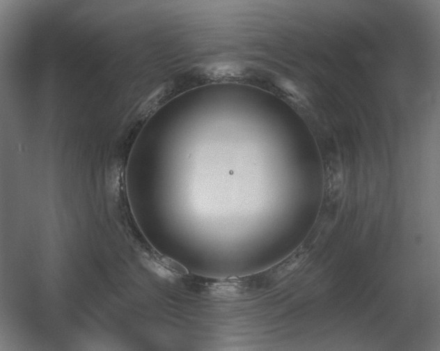 X0000060560574200511031246