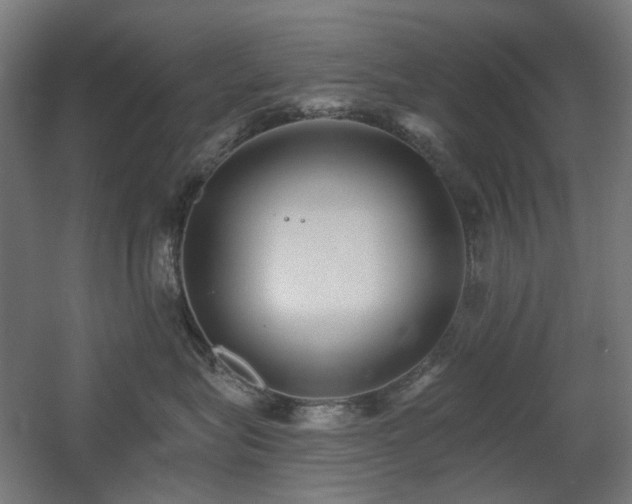 X0000060560575200511031246