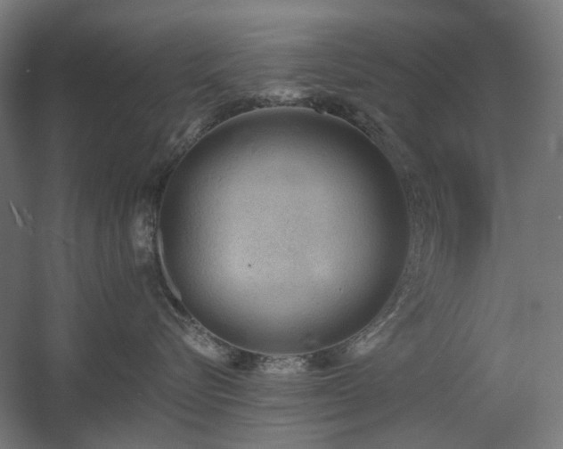 X0000060560576200511031246