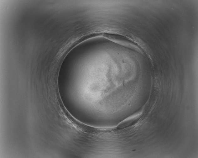 X0000060560577200511031245