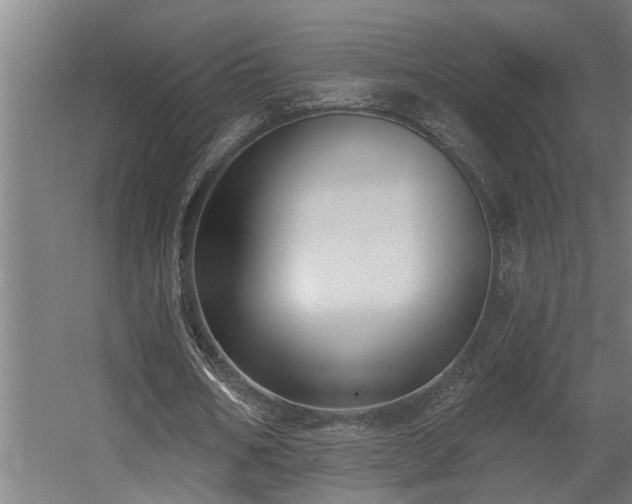 X0000060560578200511031245