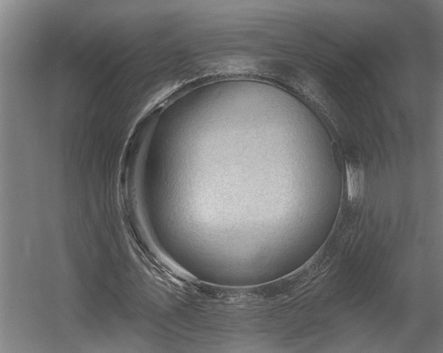 X0000060560579200511031245