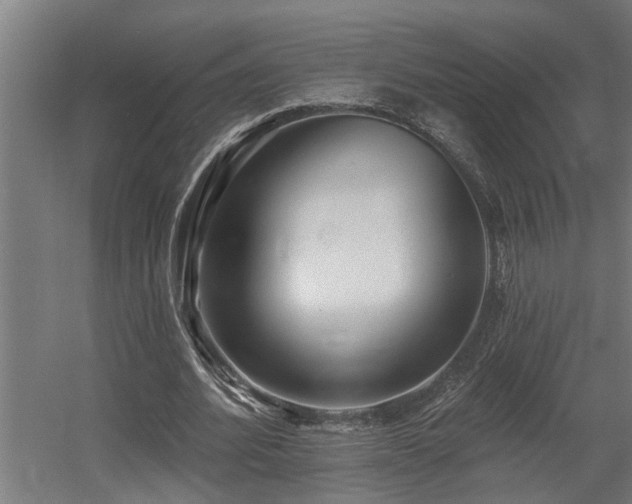 X0000060560580200511031245