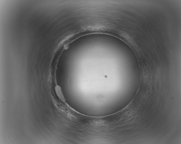 X0000060560583200511031245