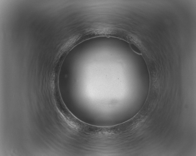 X0000060560586200511031245