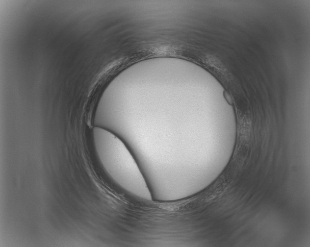 X0000060560587200511031245