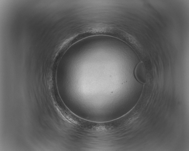 X0000060560588200511031245