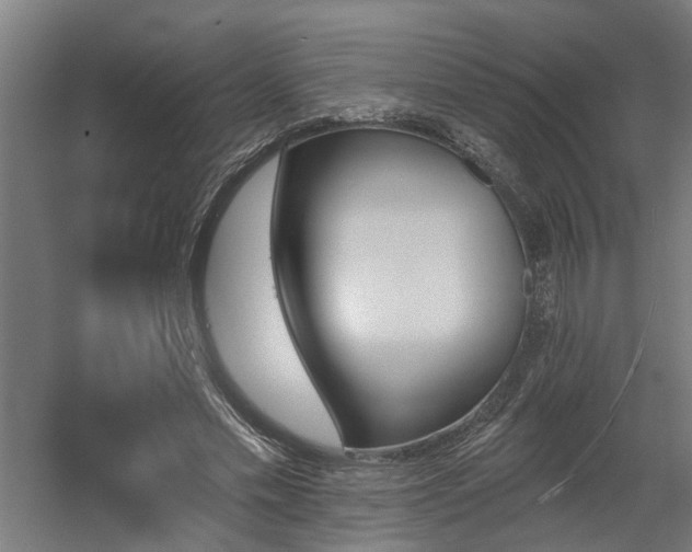 X0000060560589200511031245