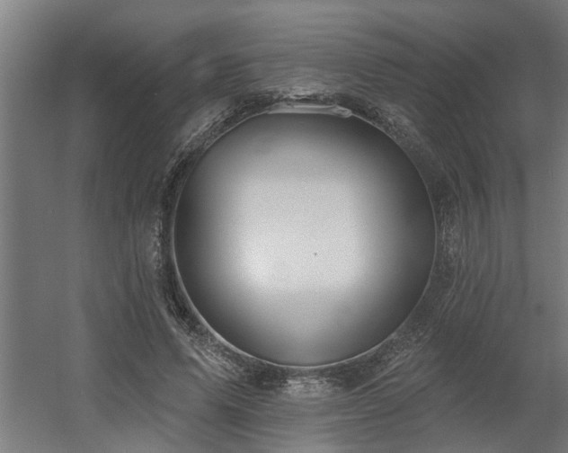 X0000060560591200511031245