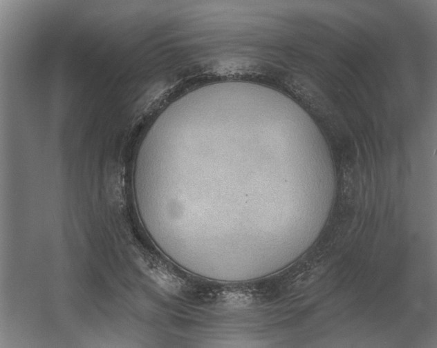 X0000060560592200511031245