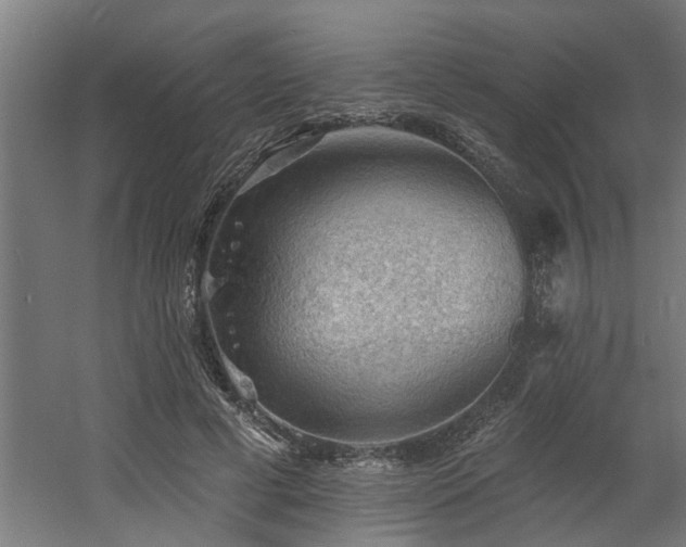 X0000060560593200511031245