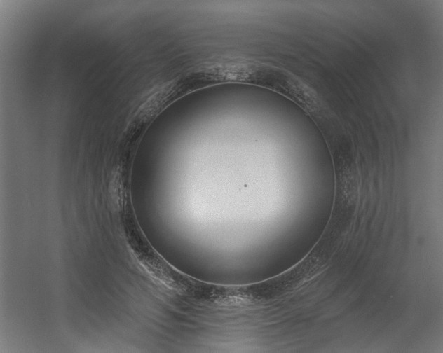 X0000060560594200511031245