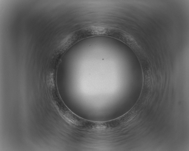 X0000060560598200511031245