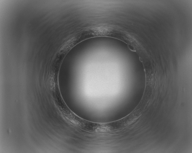 X0000060560599200511031245