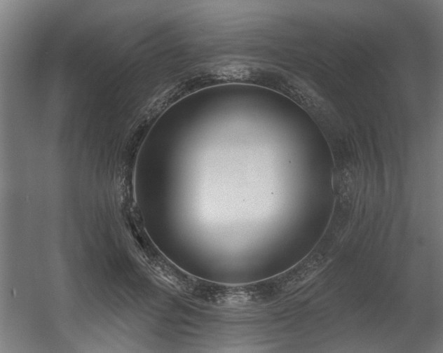 X0000060560600200511031245