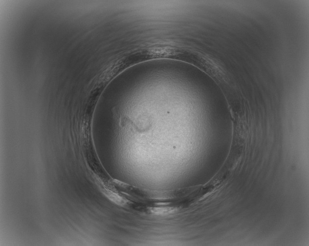 X0000060560601200511031245