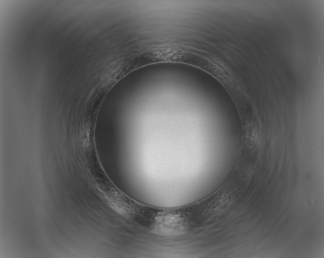 X0000060560602200511031245