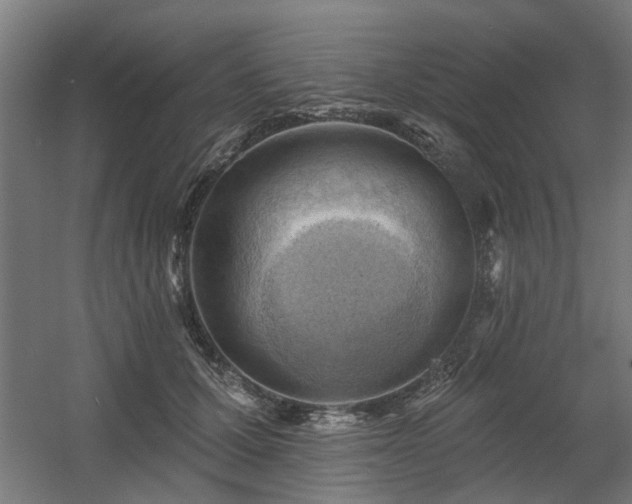 X0000060560607200511031245