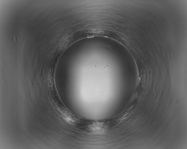 X0000060560609200511031245