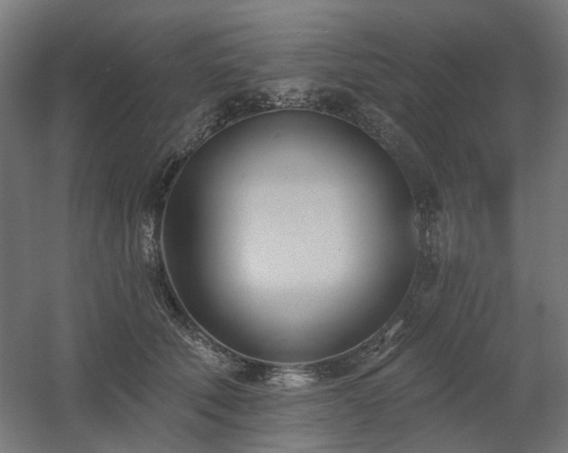 X0000060560610200511031245