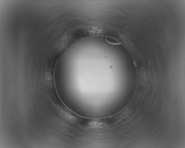 X0000060560614200511031245