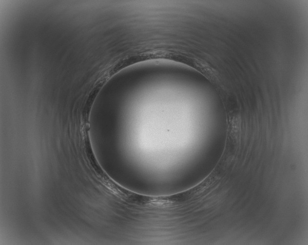 X0000060560617200511031245