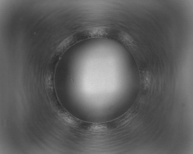 X0000060560619200511031245