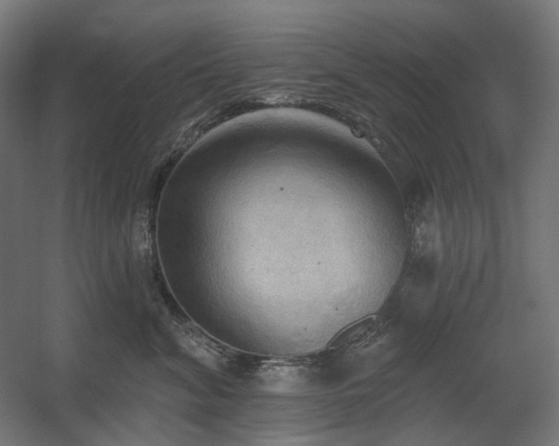 X0000060560620200511031245