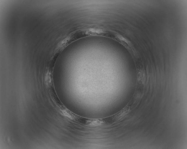 X0000060560621200511031245