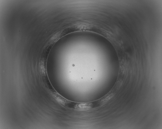 X0000060560622200511031244