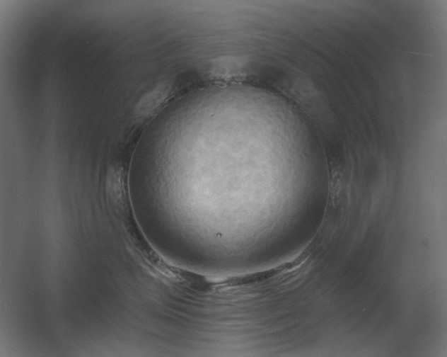 X0000060560623200511031244