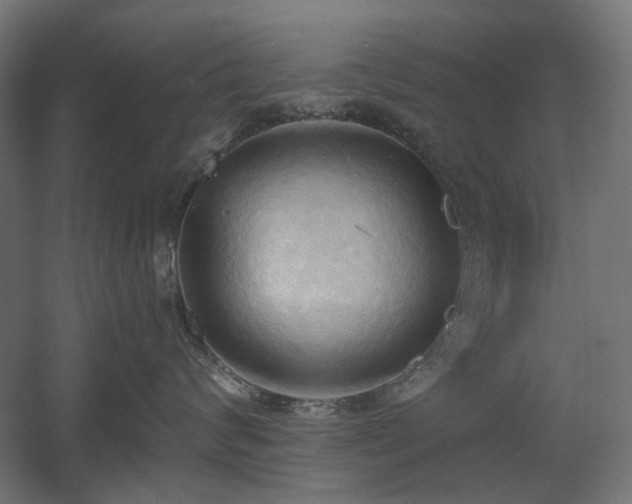 X0000060560624200511031244