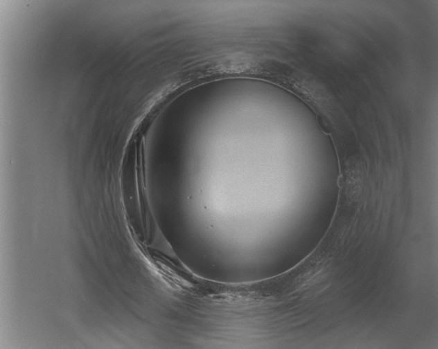 X0000060560626200511031244