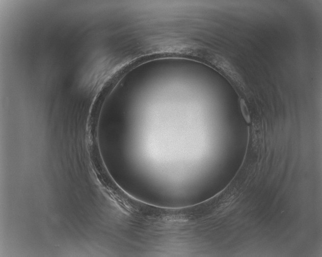 X0000060560628200511031244