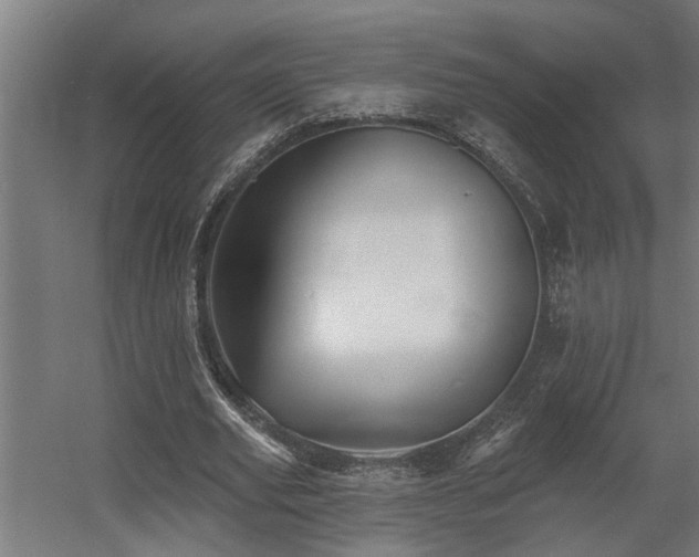 X0000060560629200511031244