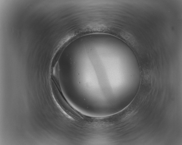 X0000060560630200511031244