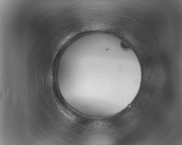 X0000060560632200511031244