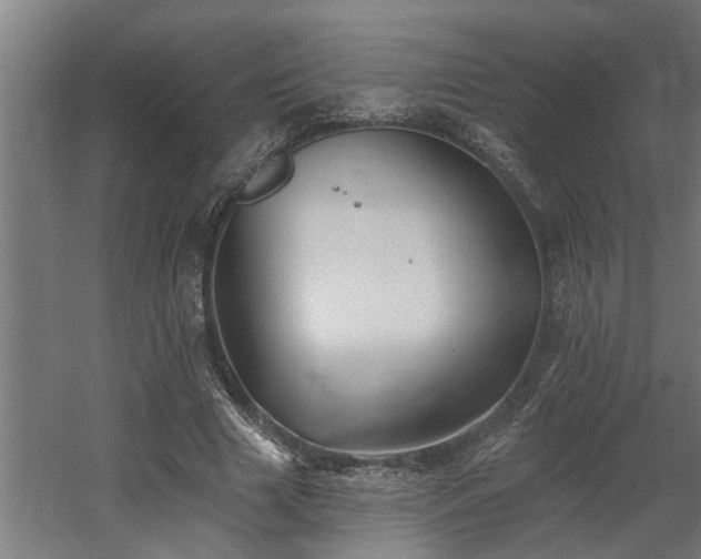 X0000060560633200511031244