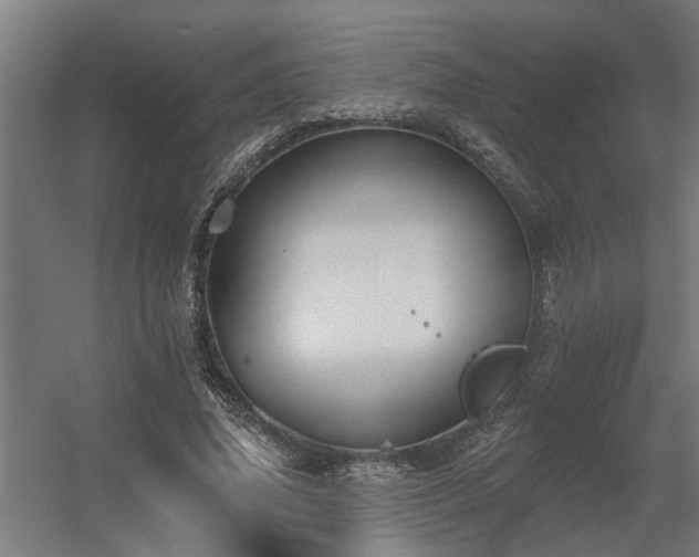 X0000060560636200511031244